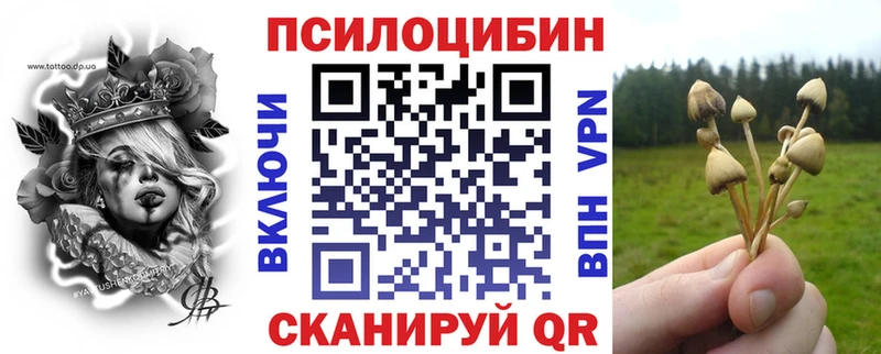 Псилоцибиновые грибы GOLDEN TEACHER Снежинск